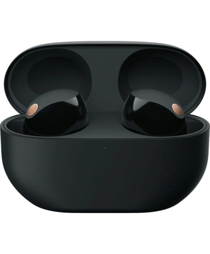 Sony WF-1000XM5 Wireless Noise Cancelling Earbuds – Black/Silver